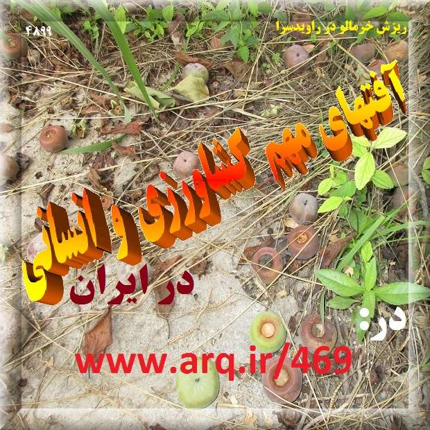 آفتهای مهم کشاورزی و انسانی در ایران
