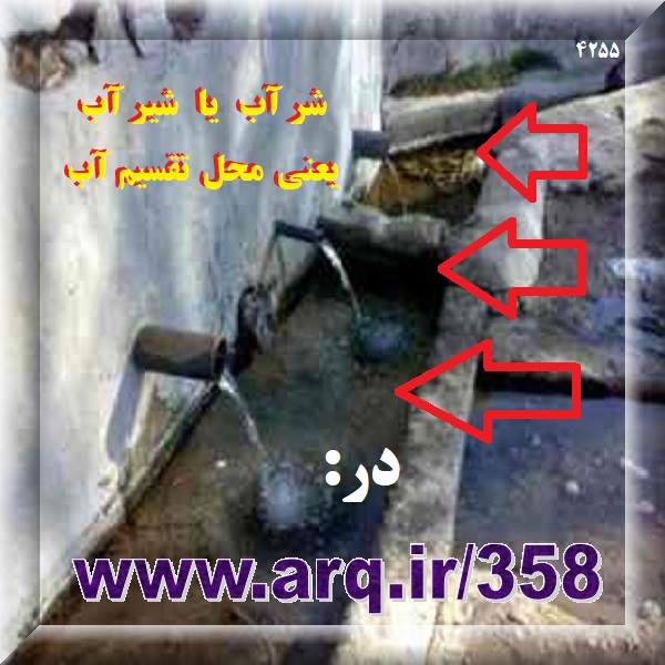 شیر چند مطلب عمومی 123 ارگ ایران