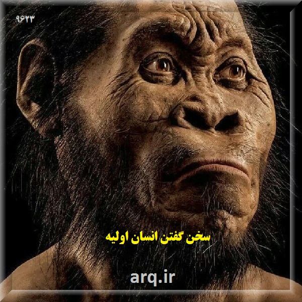  صورت انسان اولیه چند مطلب عمومی 123 ارگ ایران