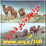 دروغ مهاجرت آریاییها به ایران در راستای دروغهای تاریخ برای بی هویت و غریبه نشان دادن ایرانی در سرزمین تاریخی چند هزار ساله ایران است دروغ مهم مهاجرت آریاییها به ایران در راستای دروغهای تاریخ