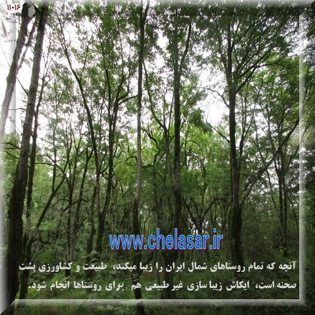 دیدنیهای تاریخی جغرافیایی انسانی ایران واقعاً زیاد است باید جغرافیای وسیع و متنوع ایران را بخوبی شناخت بدین منظور مطالعه و پیگیری تارنمای ارک ایران پیشنهاد میشود