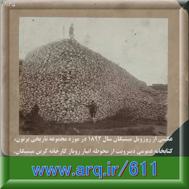 جالب خواندنی شنیدنی دیدنی از اینترنت ۱۱۸ - اسکلت کله گاومیش های آمریکایی