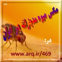 مگس میوه مدیترانه در ایران یکی از آفتهای مهم مگسی است و باید مقداری اطلاعات عمومی از آفتهای مهم داشت