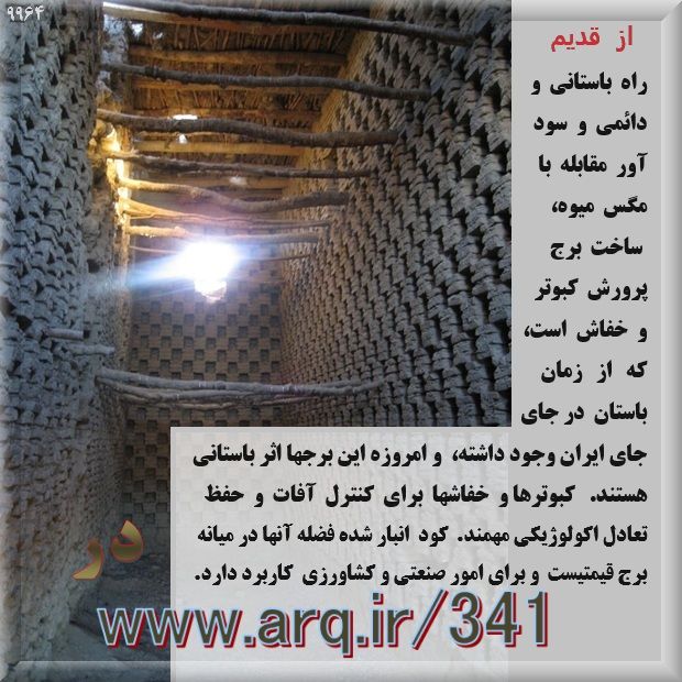مگس میوه مدیترانه در ایران یکی از آفتهای مهم مگسی است و باید مقداری اطلاعات عمومی از آفتهای مهم داشت