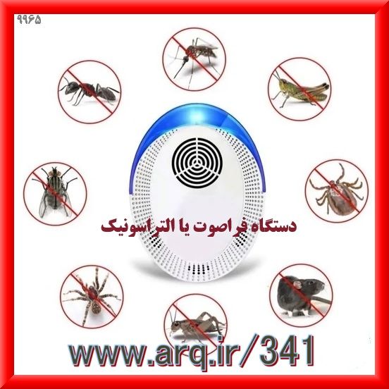 مگس میوه مدیترانه در ایران یکی از آفتهای مهم مگسی است و باید مقداری اطلاعات عمومی از آفتهای مهم داشت