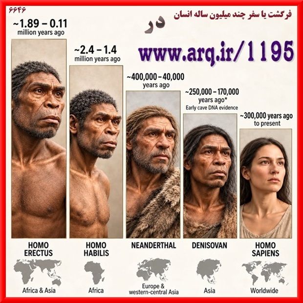 فرگشت انسان نما تا انسان امروزی بسیاری فرگشت و رشد و تکامل در زیست شناسی را نظریه داروین میدانند،  درصورتیکه اینها علم آفرینش است،  و داروین آغاز کننده گفتگو و تحقیق های مدرن اروپایی در این باره بود. 